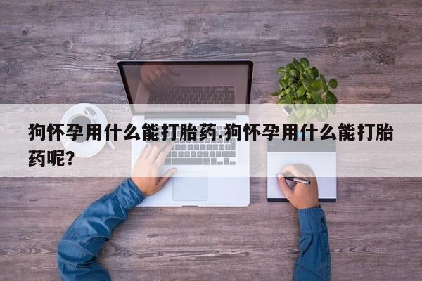 哪里可以买到打胎药狗怀孕用什么能打胎药.狗怀孕用什么能打胎药呢？