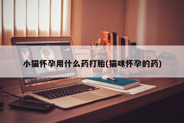 哪里可以买到打胎药小猫怀孕用什么药打胎(猫咪怀孕的药)
