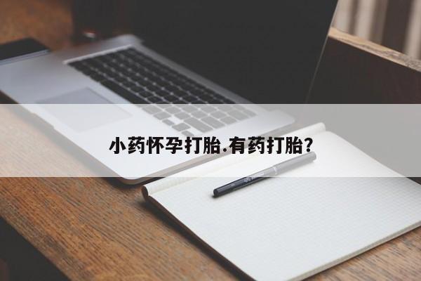 哪里可以买到打胎药小药怀孕打胎.有药打胎？