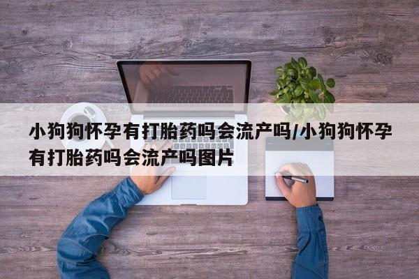 哪里可以买到打胎药资讯 第19页