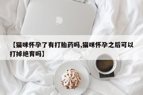 哪里可以买到打胎药【猫咪怀孕了有打胎药吗,猫咪怀孕之后可以打掉绝育吗】