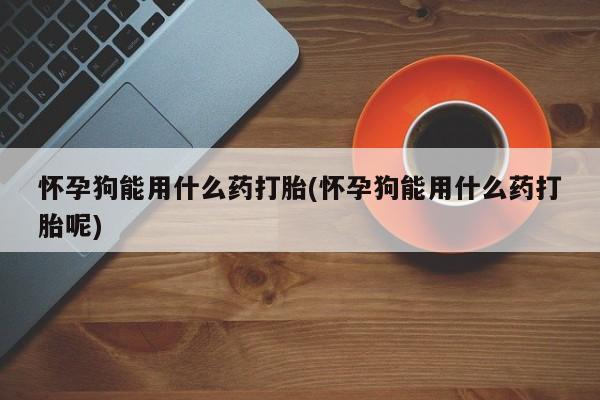 哪里可以买到打胎药怀孕狗能用什么药打胎(怀孕狗能用什么药打胎呢)