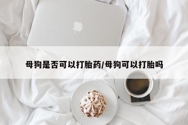 哪里可以买到打胎药母狗是否可以打胎药/母狗可以打胎吗