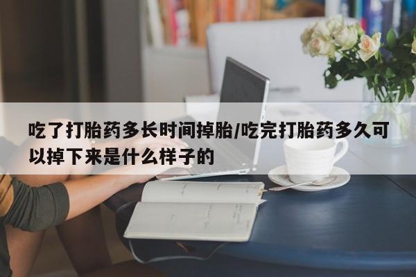 哪里可以买到打胎药吃了打胎药多长时间掉胎/吃完打胎药多久可以掉下来是什么样子的